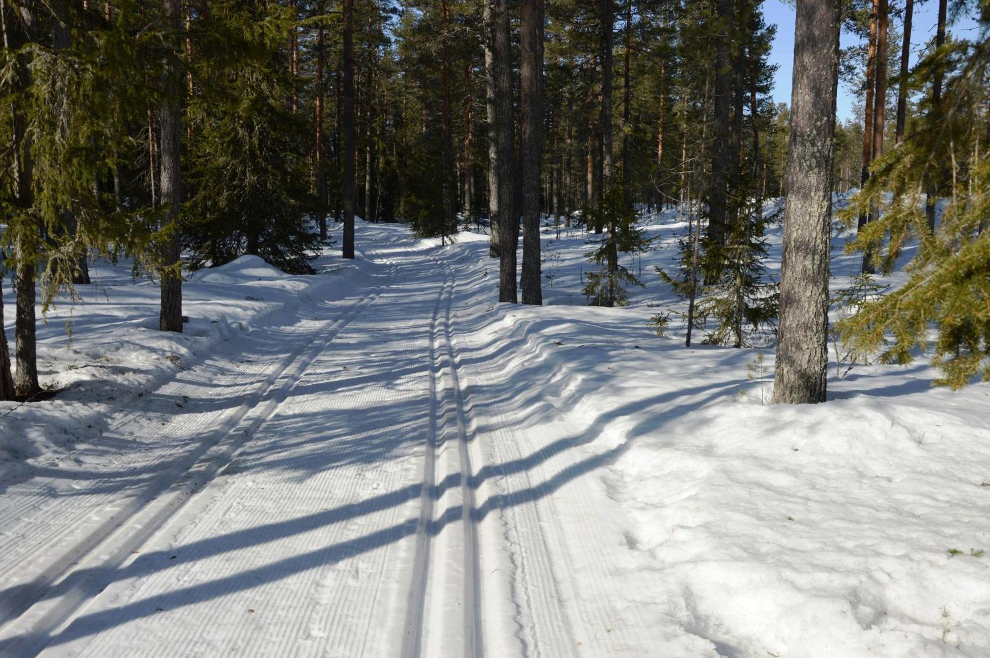 Hytte Anno 1721 Uten Internett, Strom, Vann - Men Med Rodmalt Utedo Ljørdal Exteriér fotografie