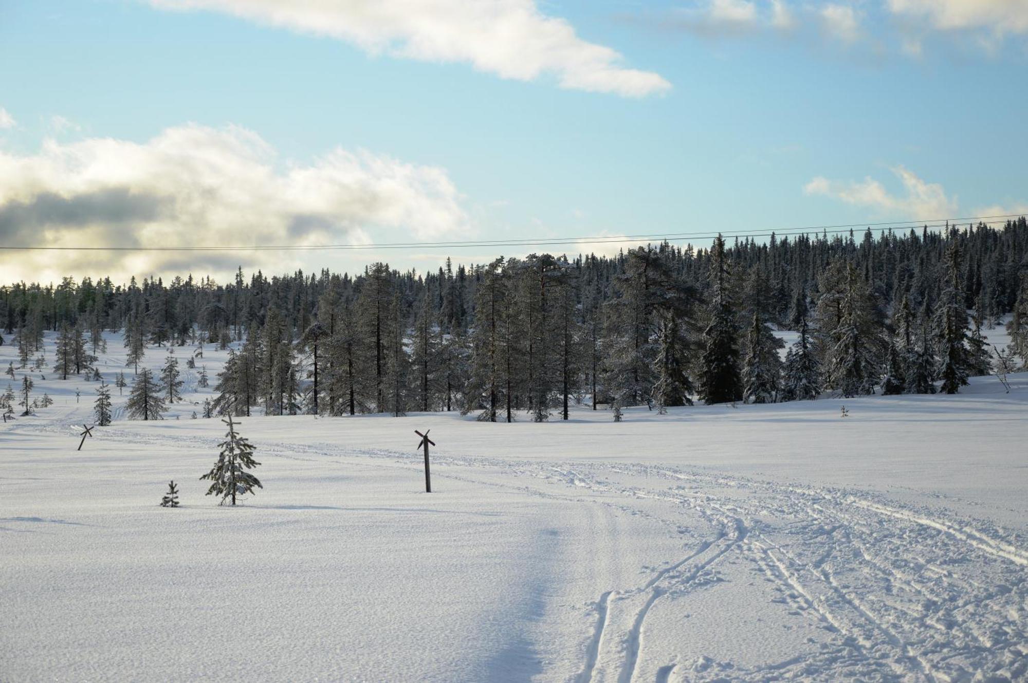 Hytte Anno 1721 Uten Internett, Strom, Vann - Men Med Rodmalt Utedo Ljørdal Exteriér fotografie