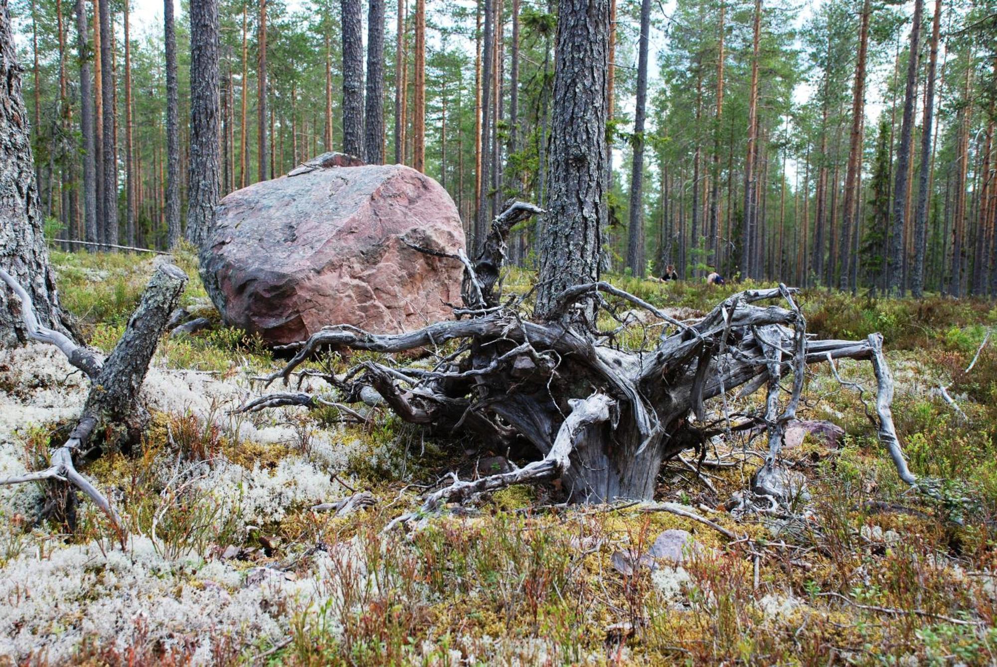 Hytte Anno 1721 Uten Internett, Strom, Vann - Men Med Rodmalt Utedo Ljørdal Exteriér fotografie