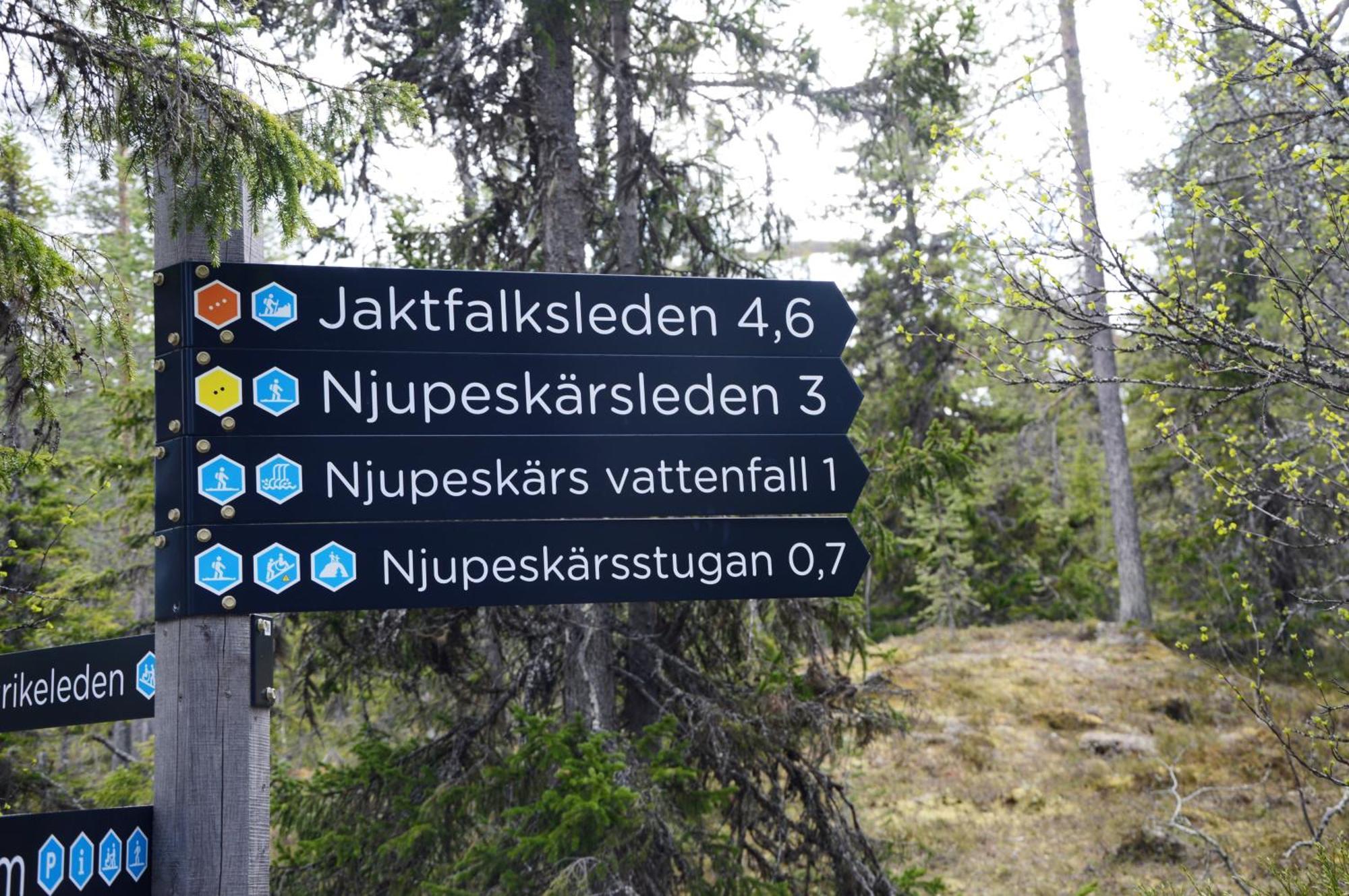 Hytte Anno 1721 Uten Internett, Strom, Vann - Men Med Rodmalt Utedo Ljørdal Exteriér fotografie