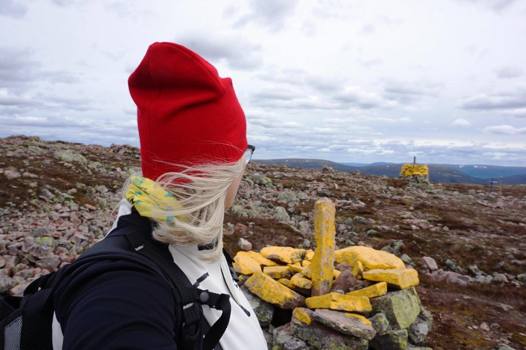 Hytte Anno 1721 Uten Internett, Strom, Vann - Men Med Rodmalt Utedo Ljørdal Exteriér fotografie